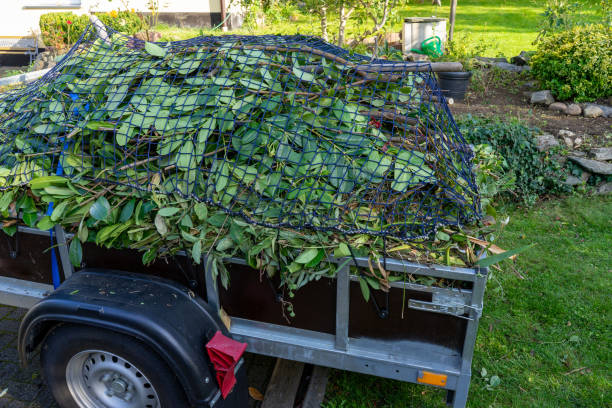 Best Shed Removal  in Crystal City, TX